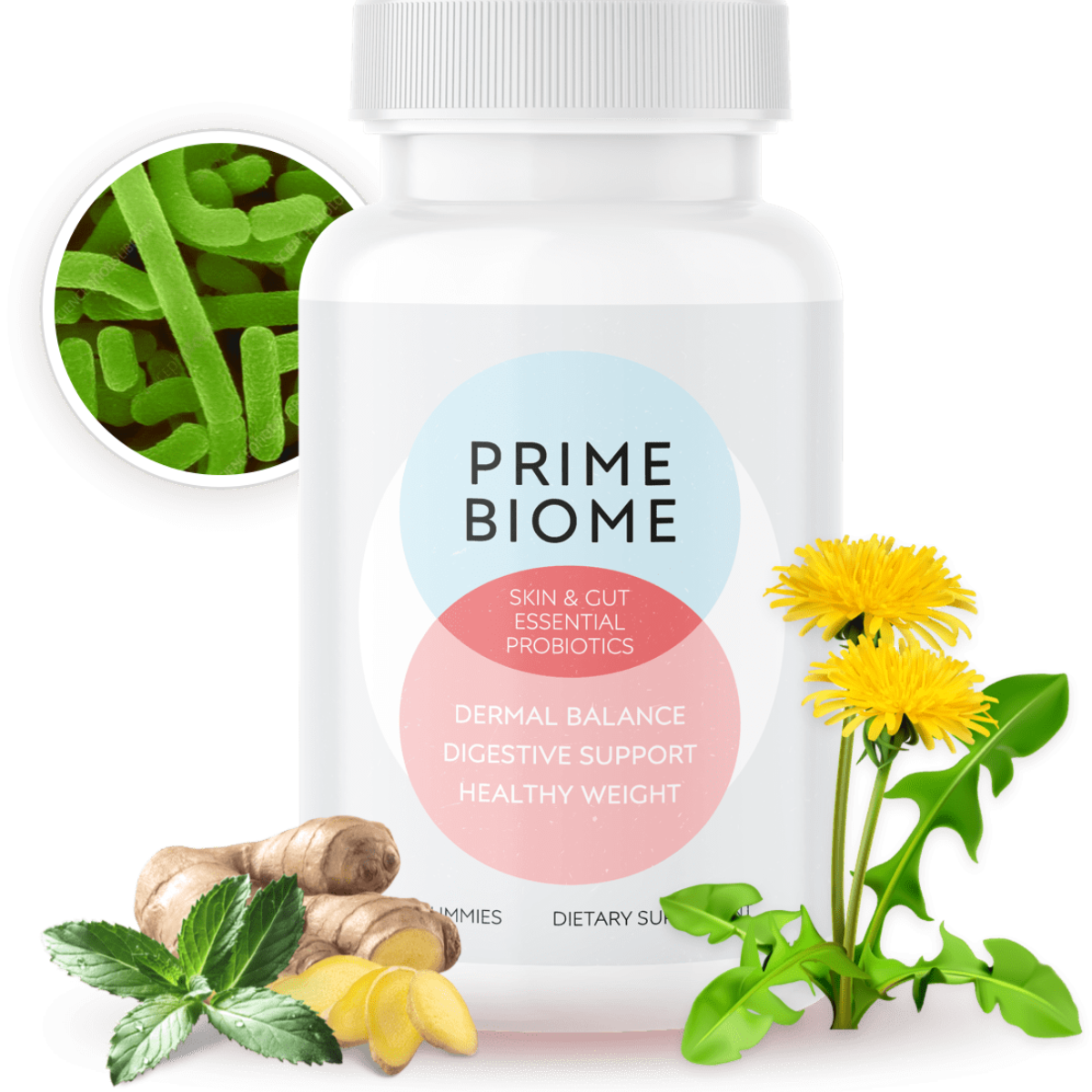 PrimeBiome Original: Official Website and Exclusive Discount Today